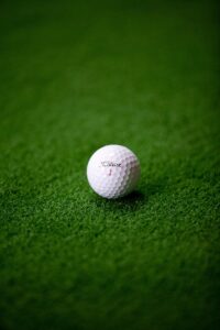 グランピングで楽しむ婚活ディナーコースはどんな内容？
