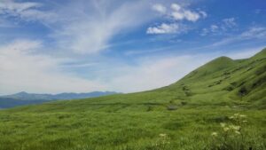 福岡でキャンプを楽しみながら婚活する際の焚き火のポイントは？