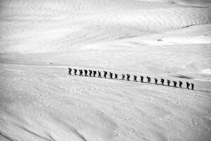 キャンプと婚活、登山の違いとは何ですか？